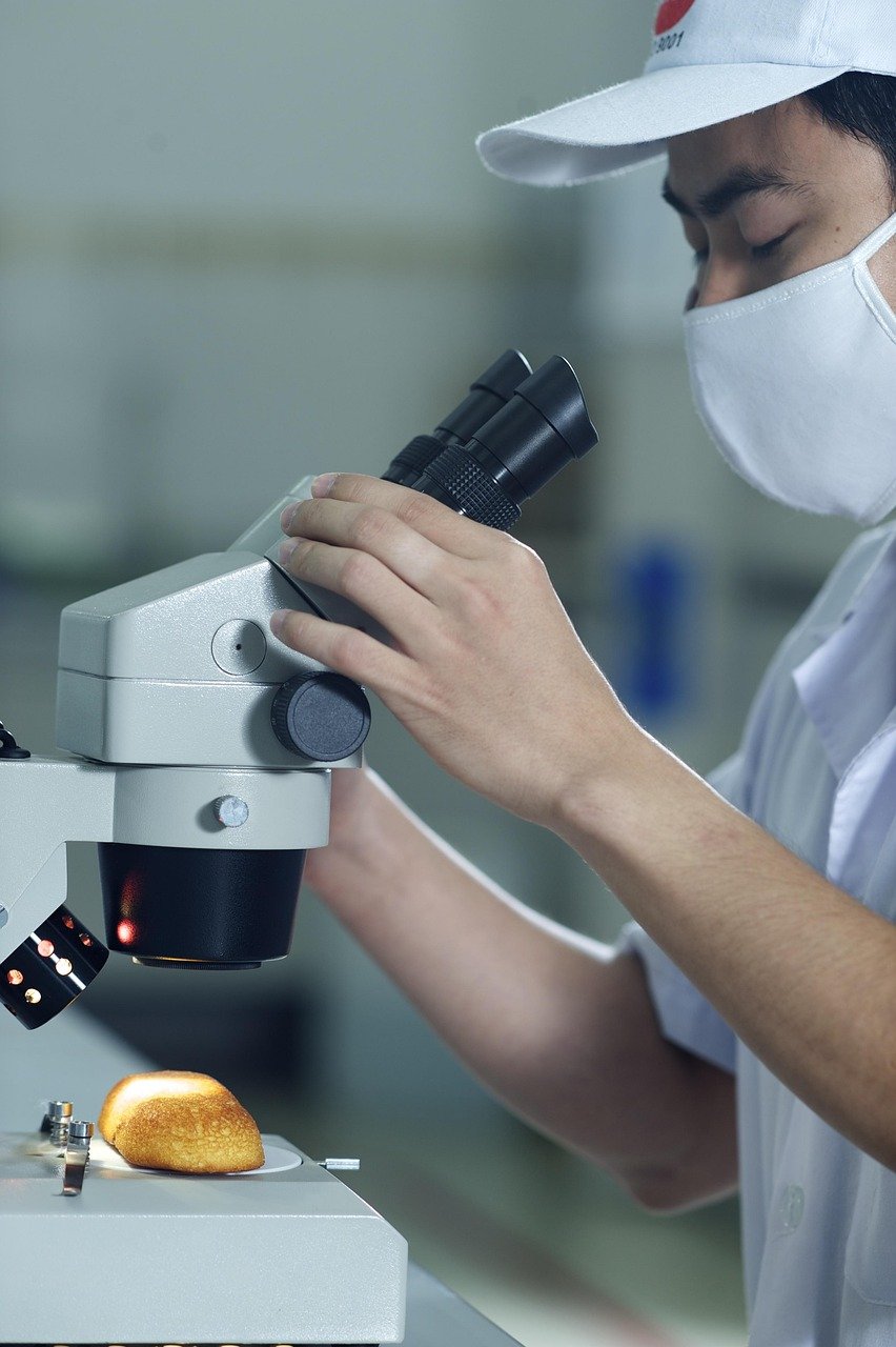 cake, microscope, man, inspection, research, inspection, inspection, inspection, inspection, inspection